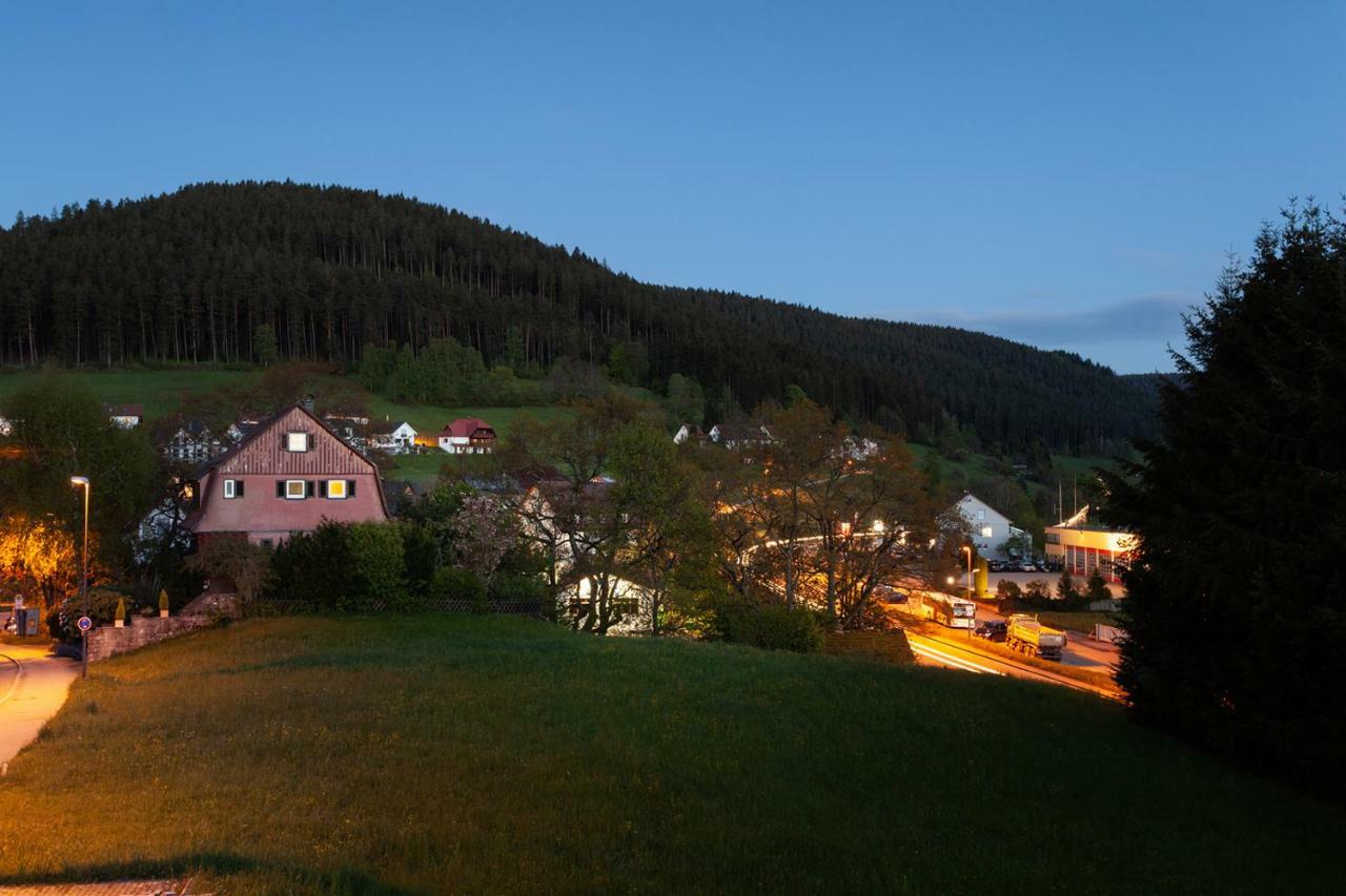 Hotel Petra Байрсброн Экстерьер фото